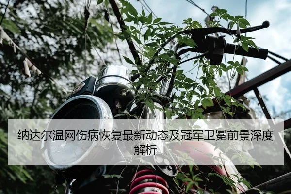 纳达尔温网伤病恢复最新动态及冠军卫冕前景深度解析 - KAIYUN SPORTS